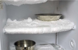 Bạn biết gì về công nghệ làm lạnh không đóng tuyết của tủ lạnh?